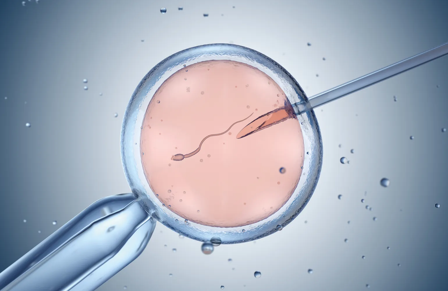 Fertilité et PMA - Dr Mohamed Samari, Marrakech